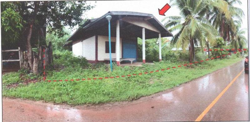 บ้านยาง เกษตรสมบูรณ์ ชัยภูมิ