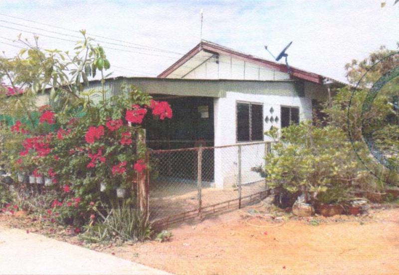 ส้มป่อย จัตุรัส ชัยภูมิ