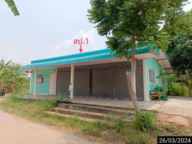หนองบัวใหญ่ จัตุรัส ชัยภูมิ