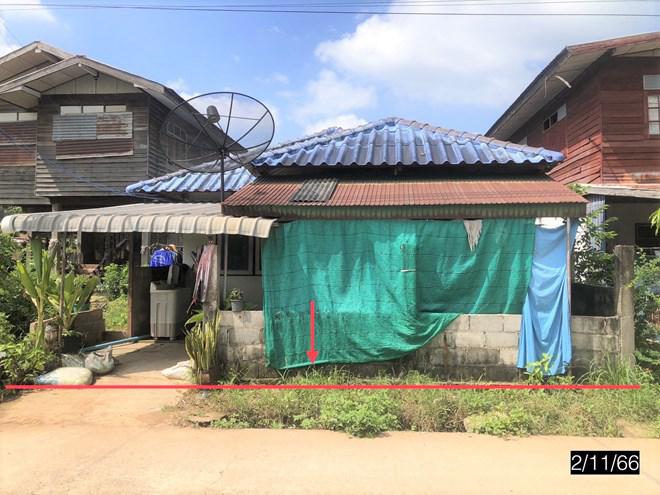 ผักปัง ภูเขียว ชัยภูมิ