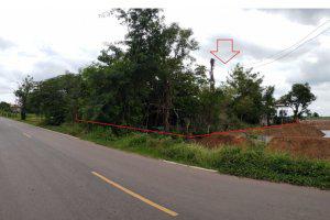 หนองคอนไทย ภูเขียว ชัยภูมิ